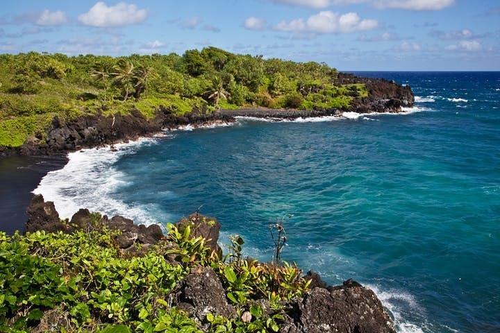 1日天国の花ツアー:オアフ島からマウイ島へのアイランドホッピング