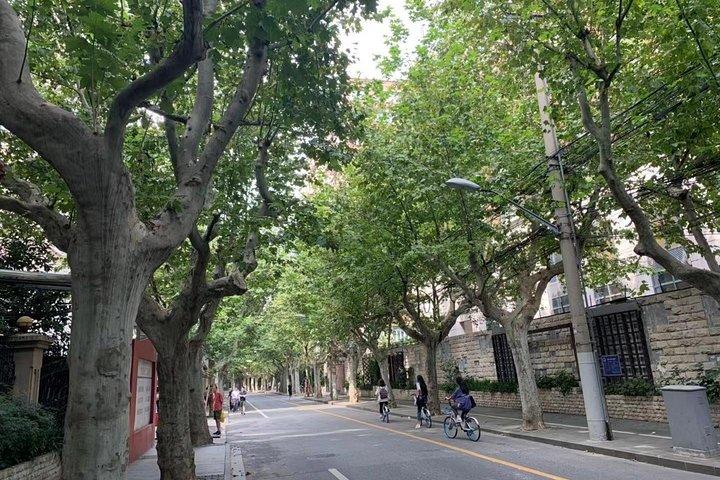 Shanghai Quality Group Tour Tarde Salida