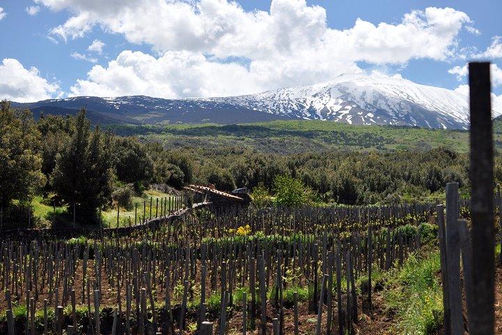 Alcantara Food & Wine Day Tour (privéervaring)