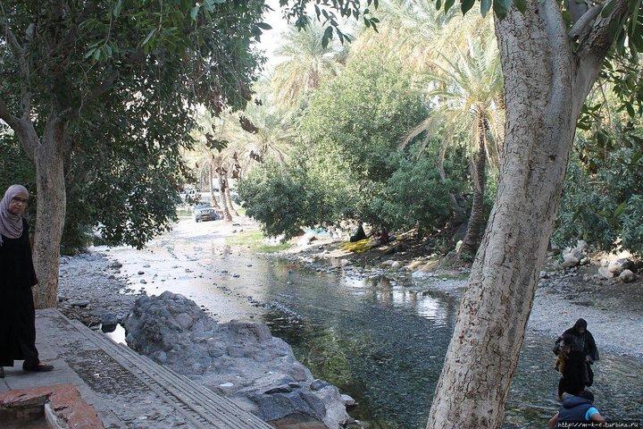 Nakhl Rustaqマスカットからの日帰り旅行