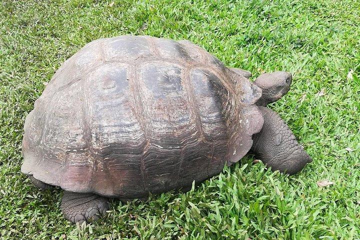 6 - Excursão de Dia Galápagos
