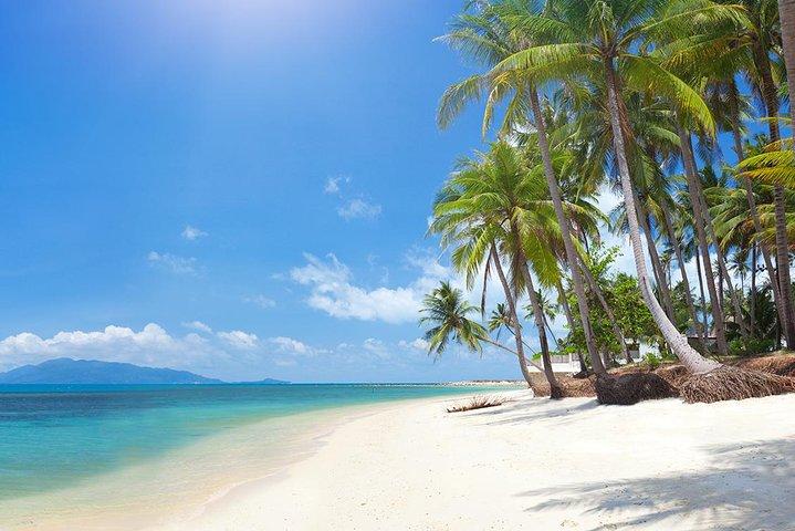 Koh Madsum (varkenseiland) en Koh Tan dagtour vanuit Koh Samui
