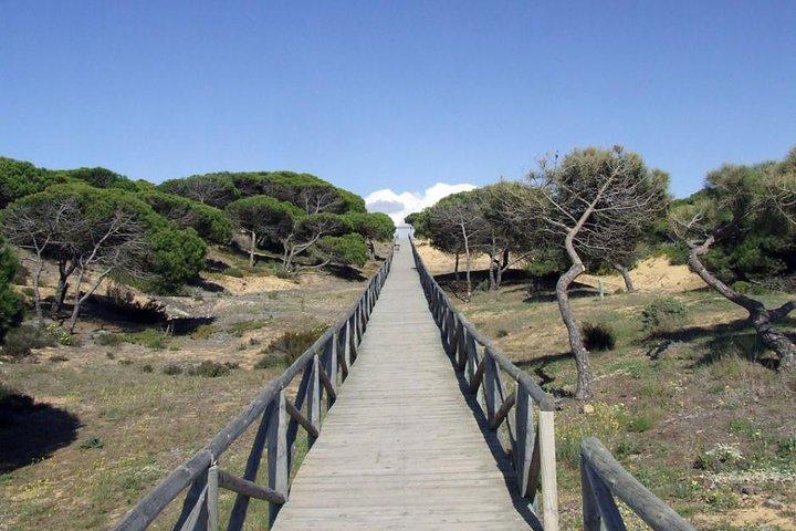 Donana National Park Horse eller 4x4 ridning dagstur