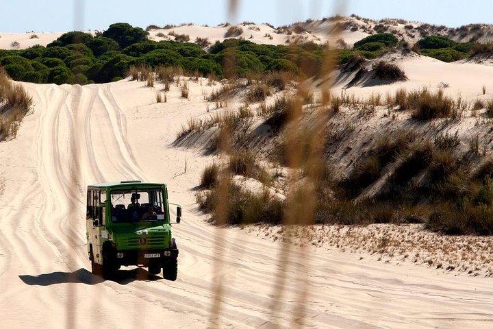 Donana National Park Horse eller 4x4 ridning dagstur
