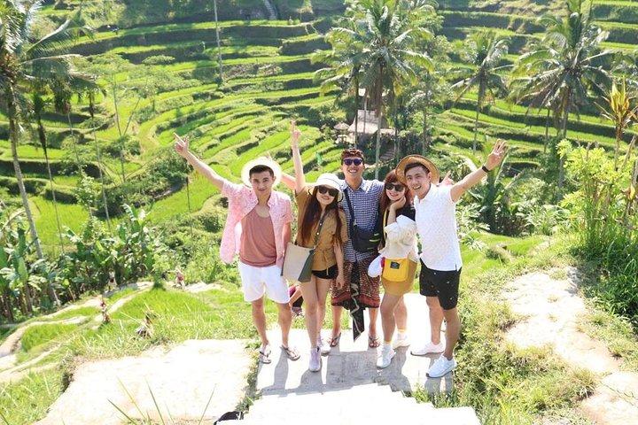 Excursão ao melhor de Ubud com Jungle Swing Privado e Tudo Incluído