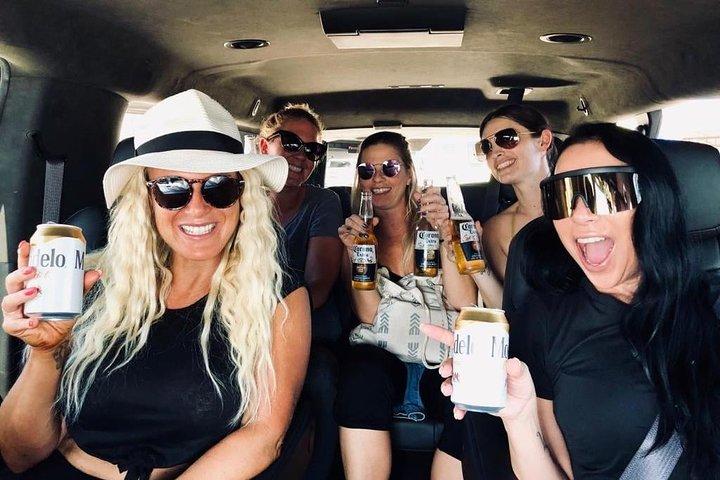 Trasporto privato Aeroporto di Los Cabos