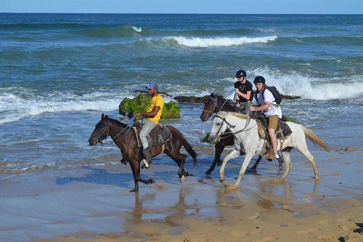 Ridetur eventyr på stranden