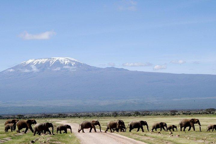 Private 9 Days Kenya Classic Lodge Safari