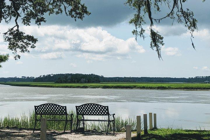 Savannah VIP Tour: Excursão privada de dia inteiro