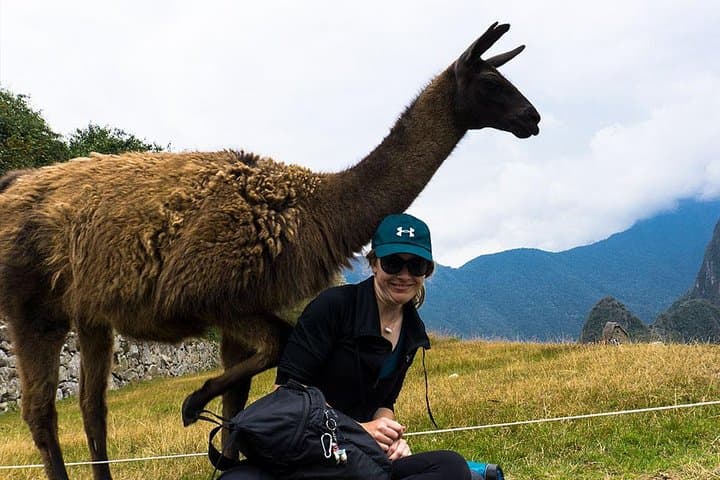 Machu Picchu Full Day Tour / Machu Picchu Day Trip