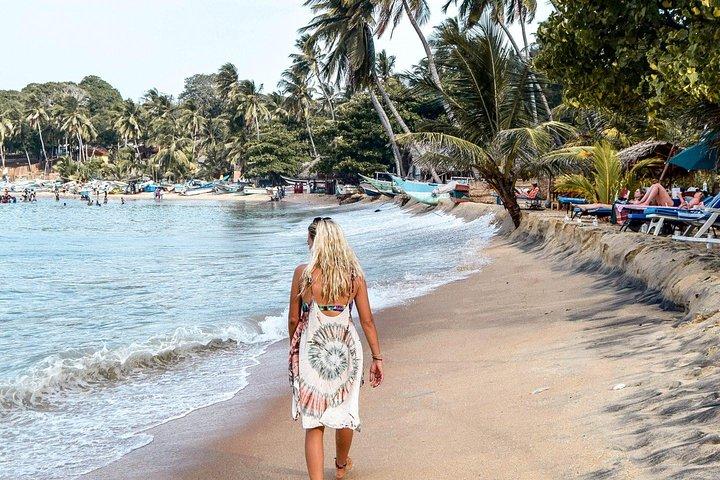 Colombo lufthavn til Arugam Bay (privat ankomstoverførsel)