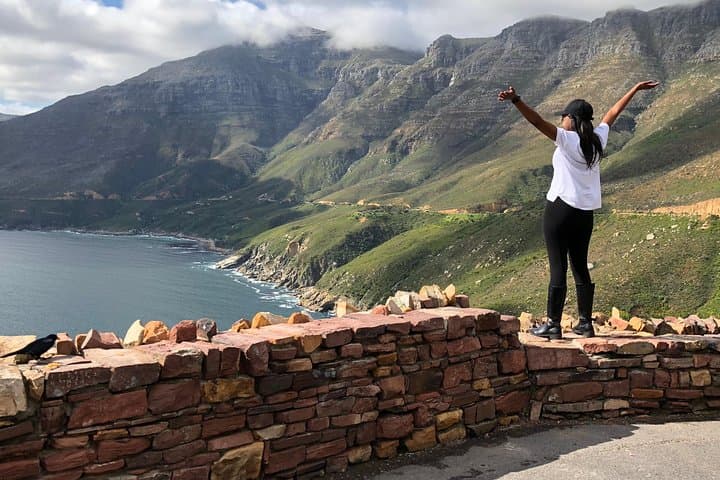 Cape of Good Hope-Penguin-Private Tour Combined With Wine Tasting Full Day Tour