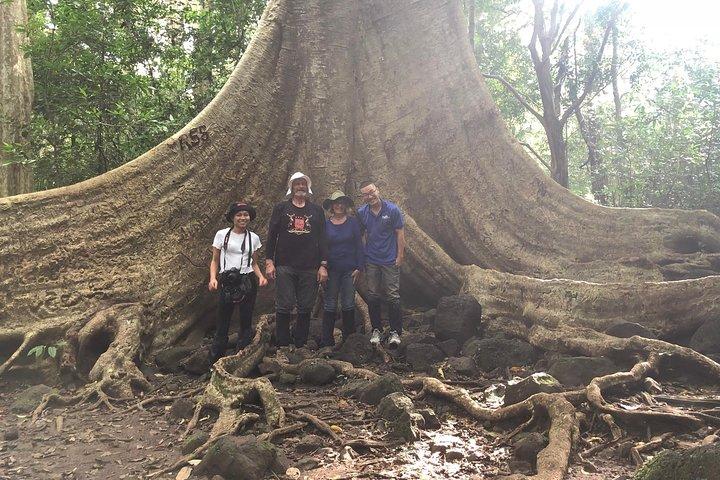 Cidade de Ho Chi Minh: Cat Tien National Park Wildlife Adventure 2D1N