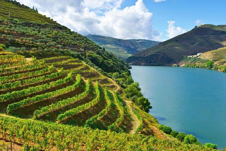 Geheimen van Porto en Douro-vallei met riviercruise