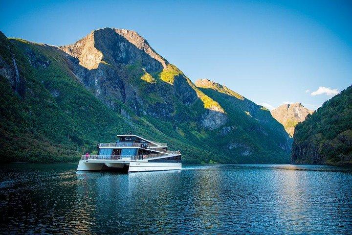Privat guide, Bergen til Oslo - Nærøyfjord Cruise & Flåm Railway