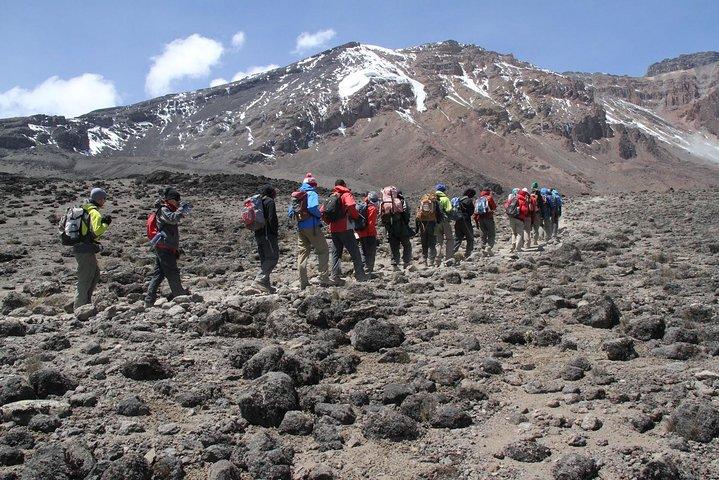 6-daagse Mount Kilimanjaro Shira-route