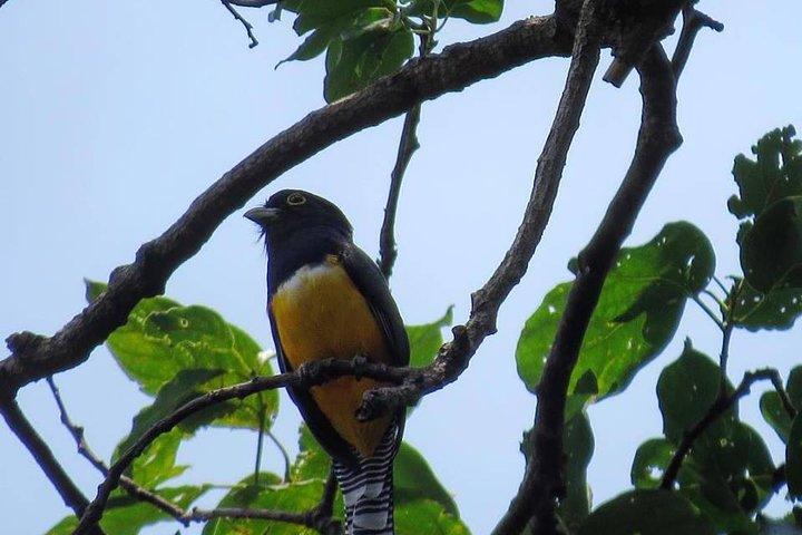 Atitlan Hiking and Birding - Dagtocht vanuit Antigua