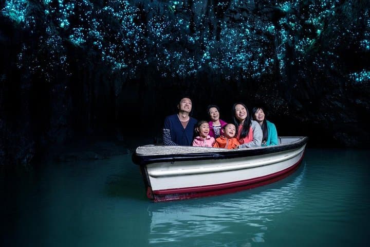 Private Tour: Hobbiton & Waitomo Glowworm Cave Experience