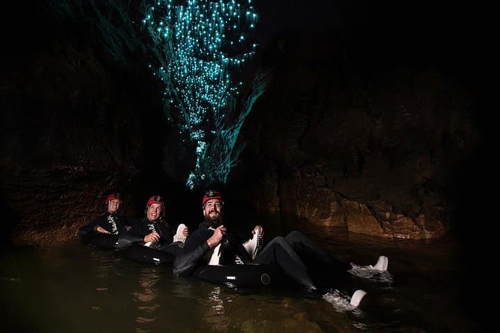 Black Abyss: Ultimate Waitomo Caving - Private Tour from Auckland