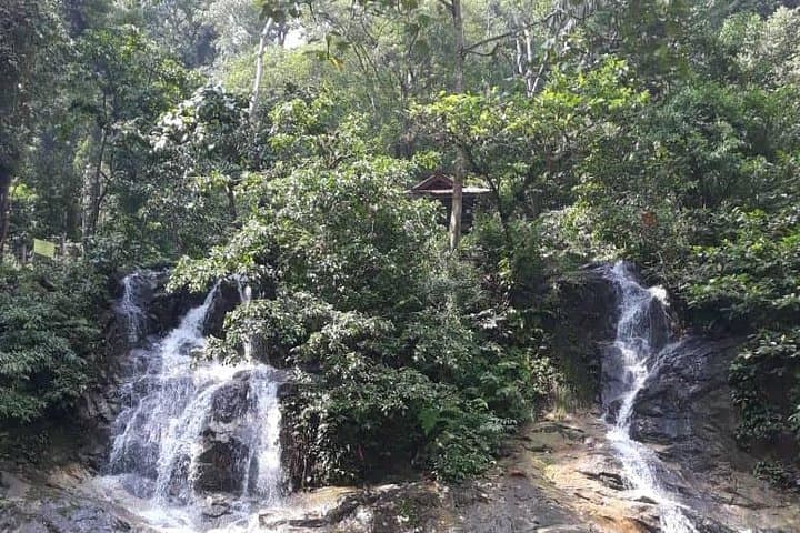 Back to Nature Tour - Templer's Park, Hot Spring & Batu Caves