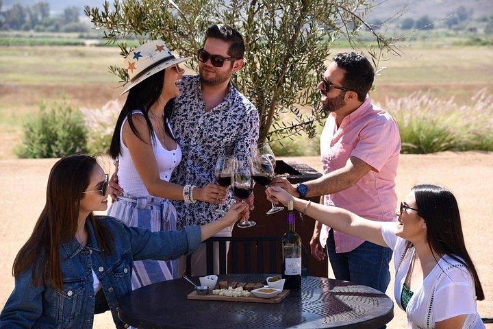 Dégustation de 5 vins et visite à la cave Rondo del Valle