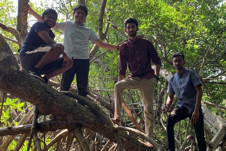 Aventura de mangue