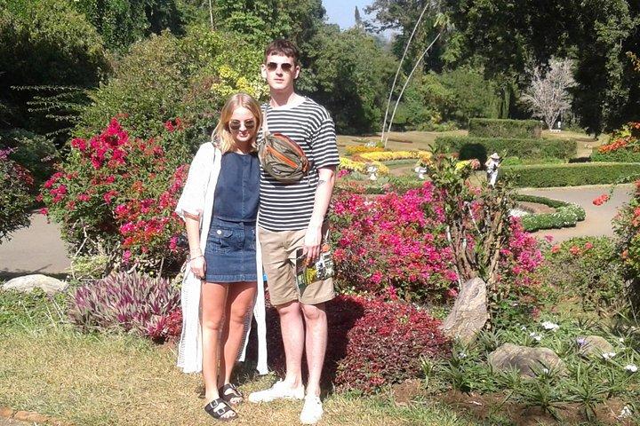 Tagesausflug von Colombo nach Kandy: Teefabrik - Botanischer Garten Peradeniya - Kandy