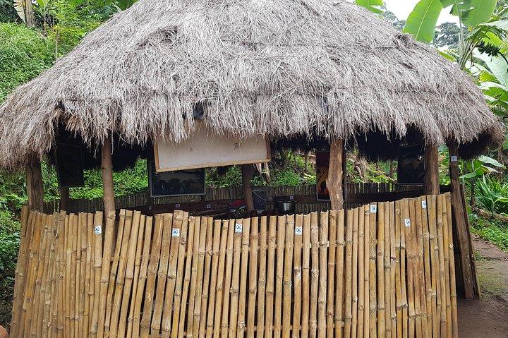Materuni vandfald og kaffe tur, Tanzania