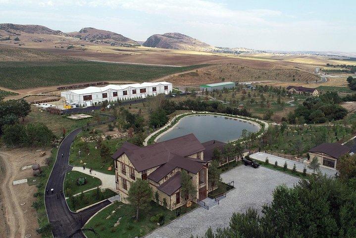 Weintour und Alpakafarm in Shamakhy
