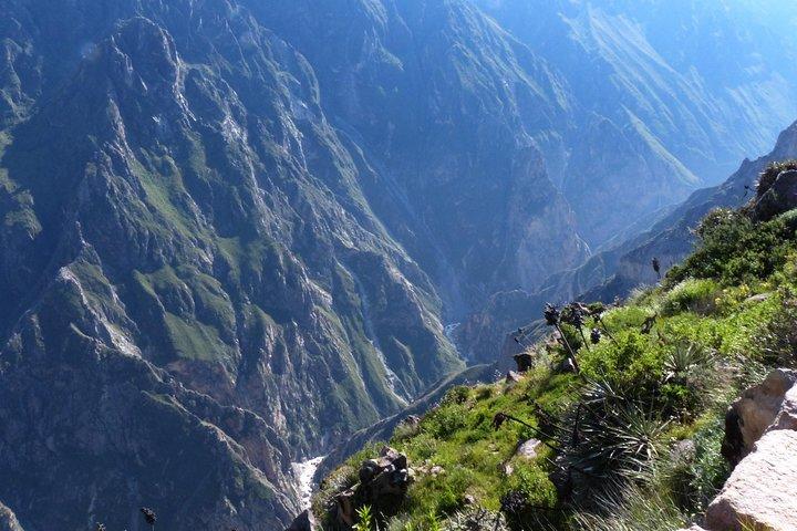 Tour Colca Kampagnepris for heldagen