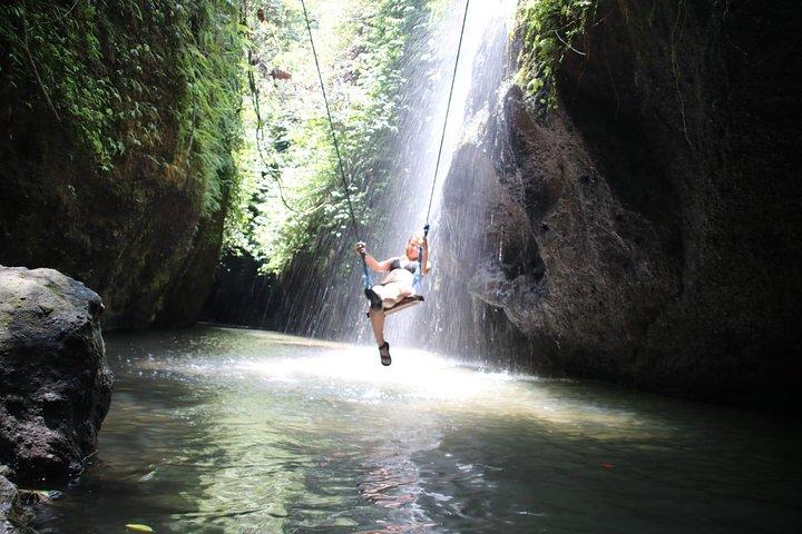 Ubud Shared Tour: Ubud Waterfalls, Tegalalang & Holy Water Temple