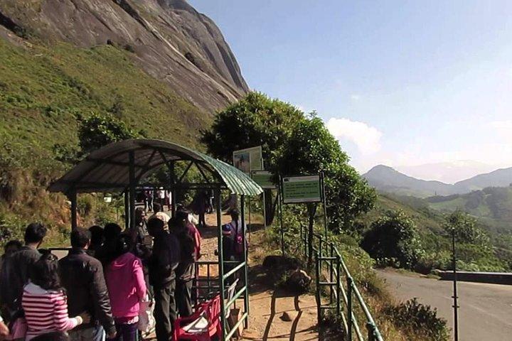 コーチ (コーチン) からのムンナルへのプライベート日帰り旅行