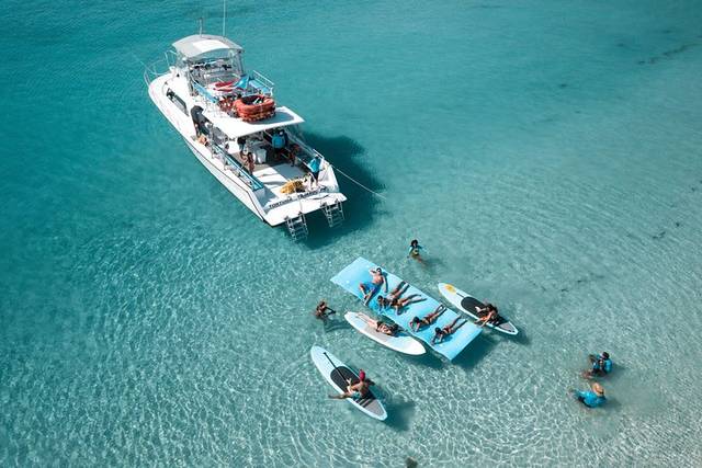 Palomino Island