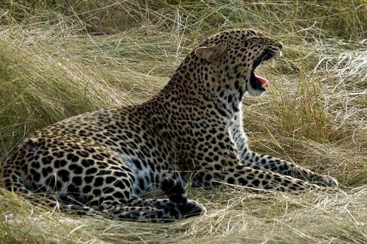 3 days/2 nights budget-group joining Masai Mara Safari