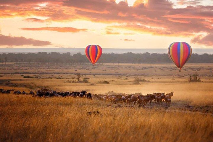 5 días Kenya Lodge Safari Aberdare, lago Nakuru y Masai Mara