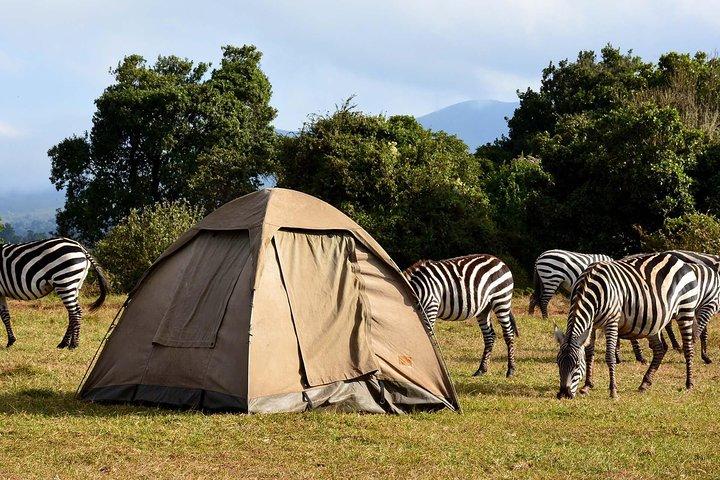 Lake Manyara Guided Day Tour från Arusha