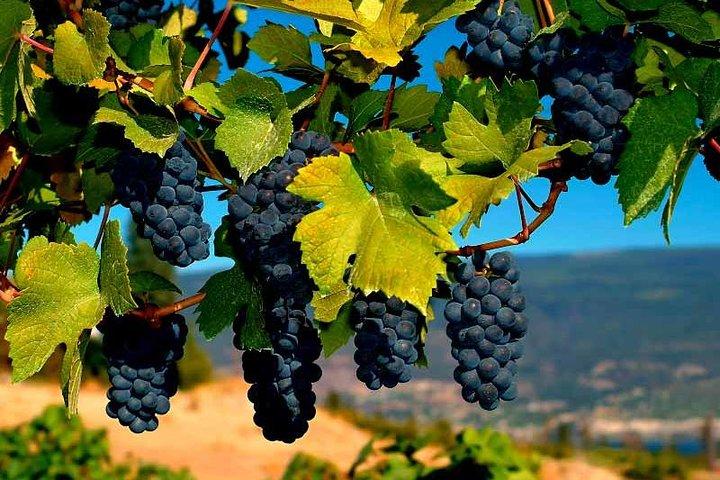 Tour a Samarcanda e Bukhara con la valle di Fergana (8d7n)