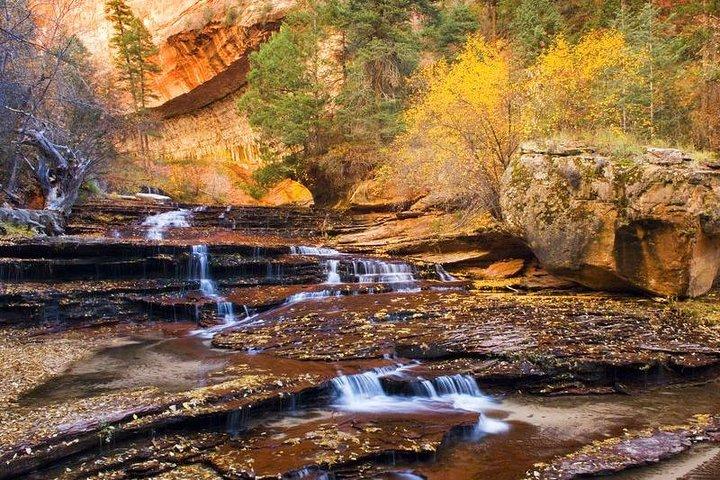 Zion & Bryce Canyon Nationalparks 1 - Tagesbustour