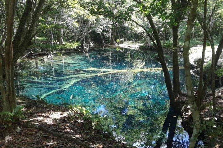 Excursão Punta Cana Private Hoyo Claro Cenote