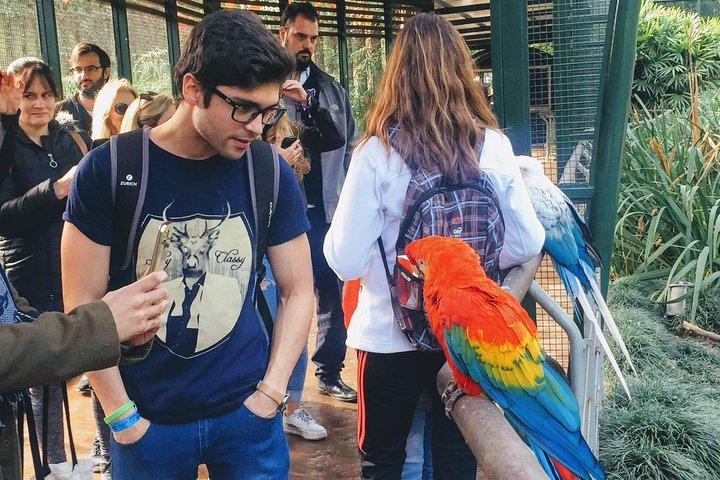 Buenos Aires: Temaiken Biopark Tour