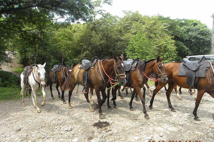 Private Buena Vista Combo — Zipline & Hot Springs