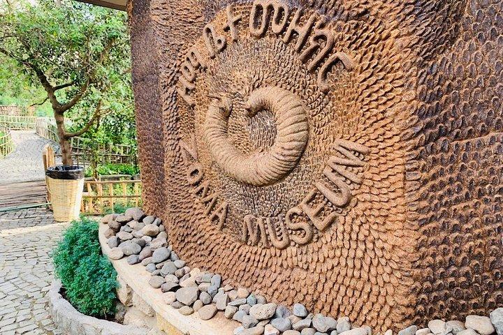 Rundgang durch Addis Abeba - Entdecken Sie Addis auf authentische Weise