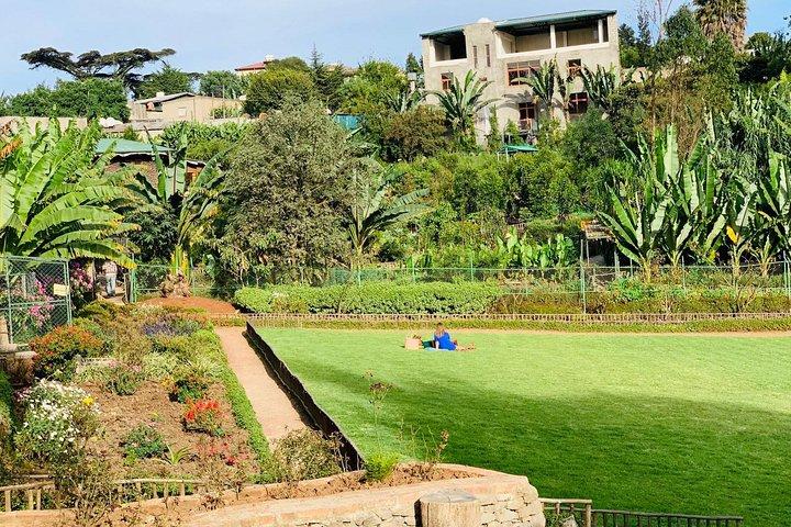 Rundgang durch Addis Abeba - Entdecken Sie Addis auf authentische Weise