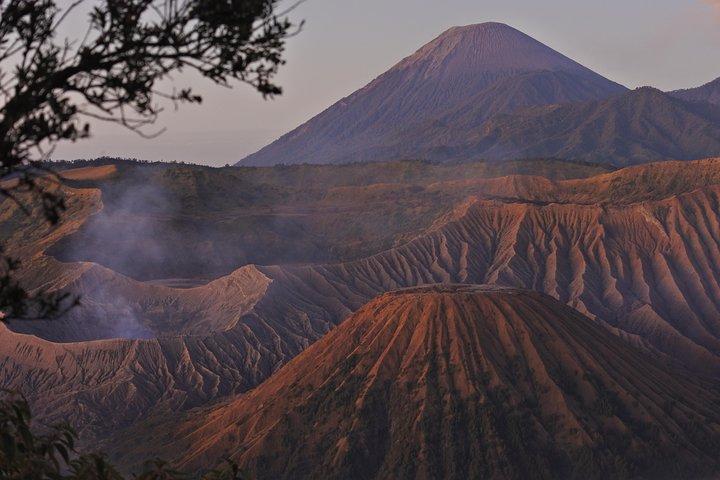 Bromo Midnight tour från Surabaya (1 dagstur)