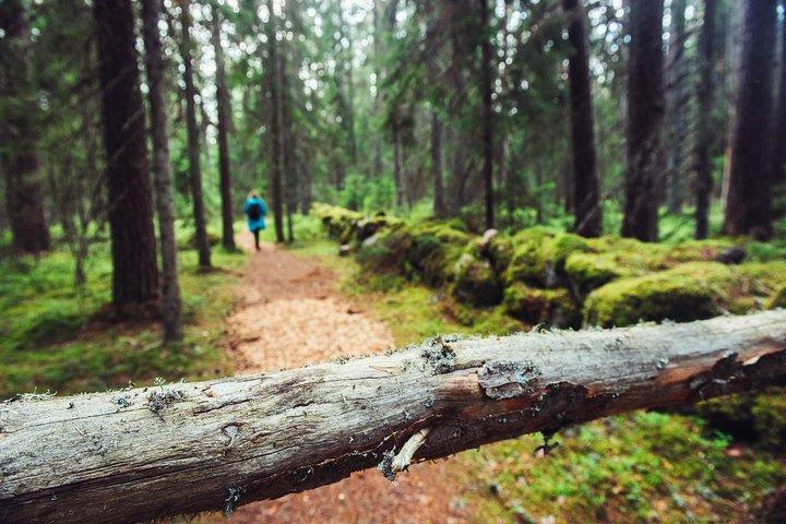 Begeleide wandelingen in de Baltische staten in 14 dagen