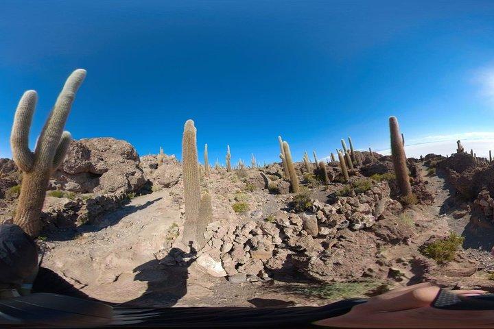 SALT FLATS 3 DAYS 2 NIGHTS TOUR(共有)