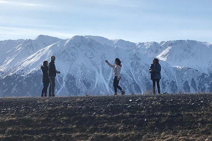 Alaska Wildlife Conservation Center & Turnagain Tour de braço