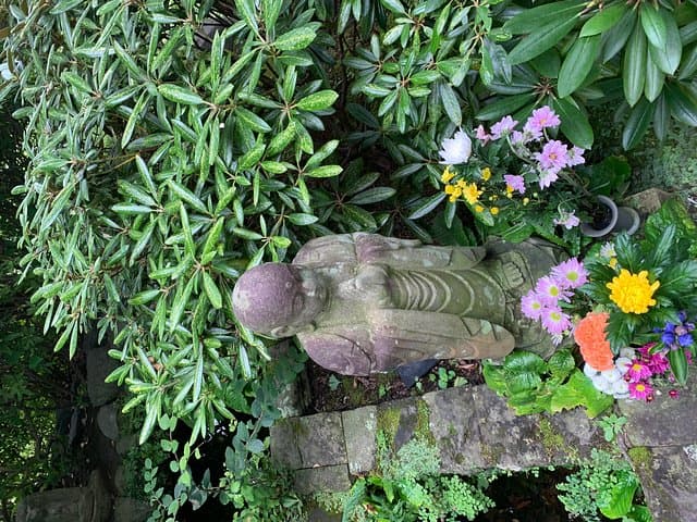 Private Tour Kamakura and Enoshima With Guide and photographer
