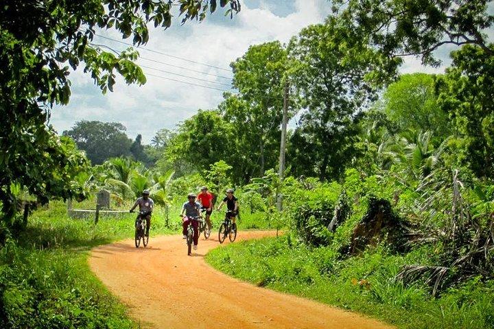 Cycling Expedition in Yala from Hambantota Harbor