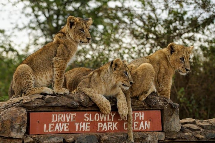 Nairobi National Park, Baby Elephant Orphanage and Giraffe Center